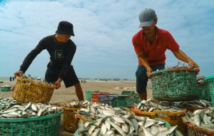 Màn hình game bắn cá jackpot với boss lớn và hiệu ứng phần thưởng dưới biển