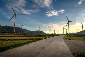 Người dùng theo dõi livestream đá gà trên điện thoại với giao diện gọn gàng